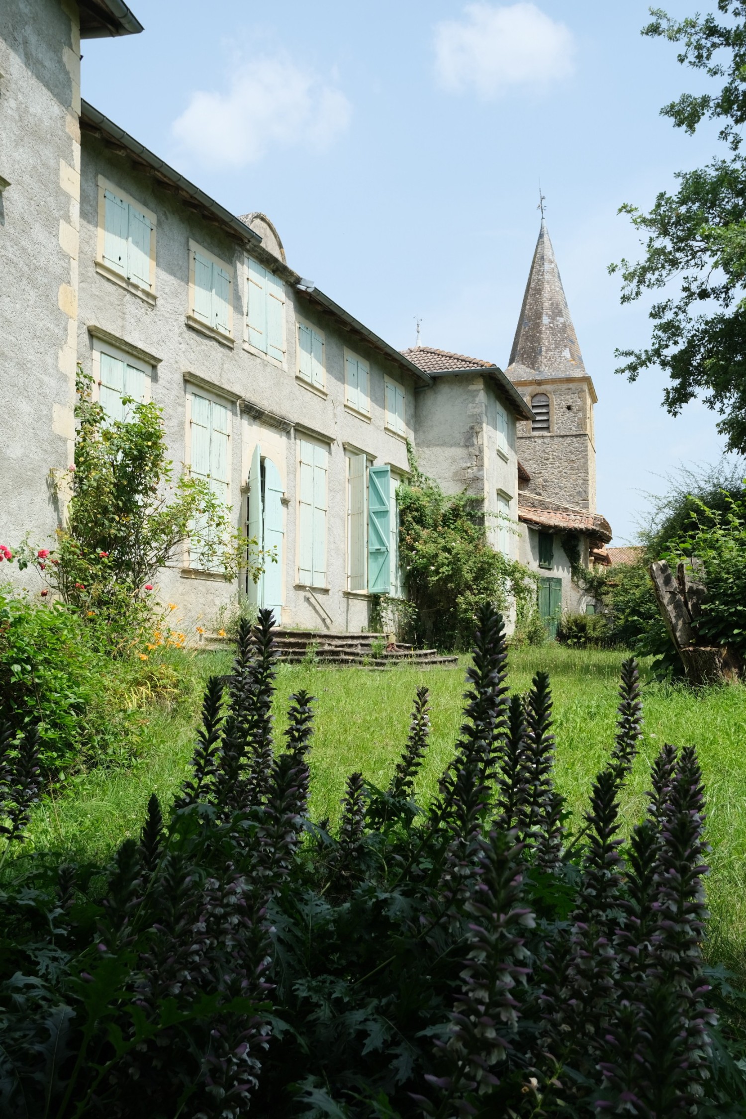 dscf1930.jpg